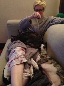 dog and cat sitting together on lap