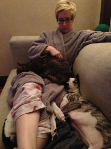 cat and dog sitting together on a lap