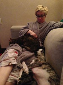 dog and cat sitting together on lap