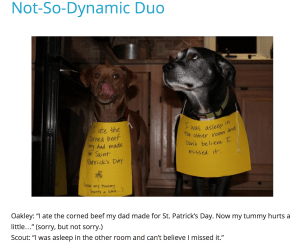 Screen Shot 2015-03-26 at 2.41.49 AM